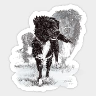 Border collie named Valentino portrait Sticker